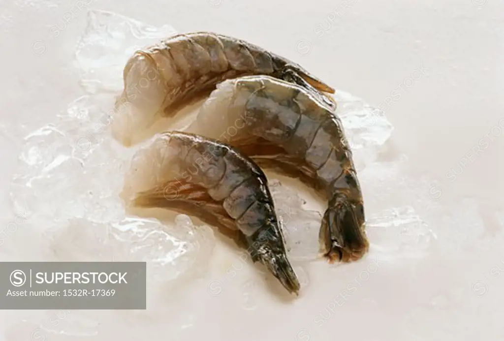 Fresh king prawns without heads on ice cubes