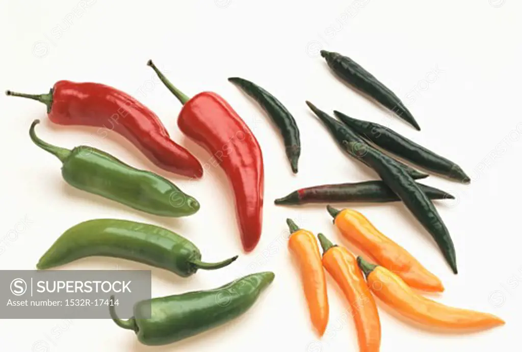 Various fresh chili peppers