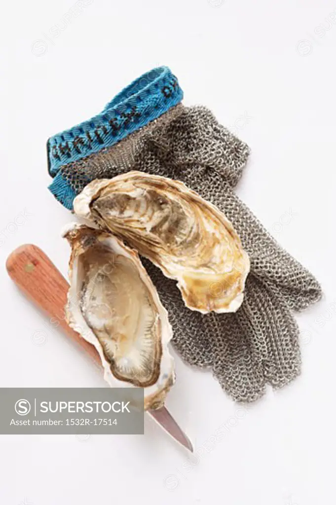Opened oyster, oyster knife and oyster glove