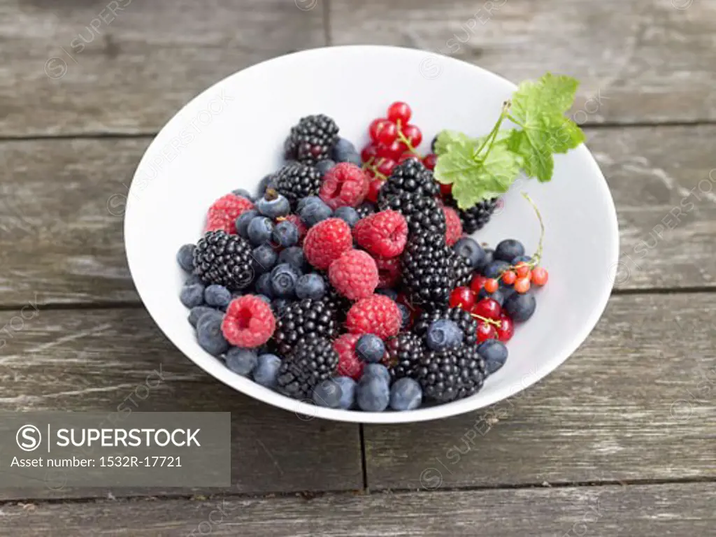Fresh berries in white dish
