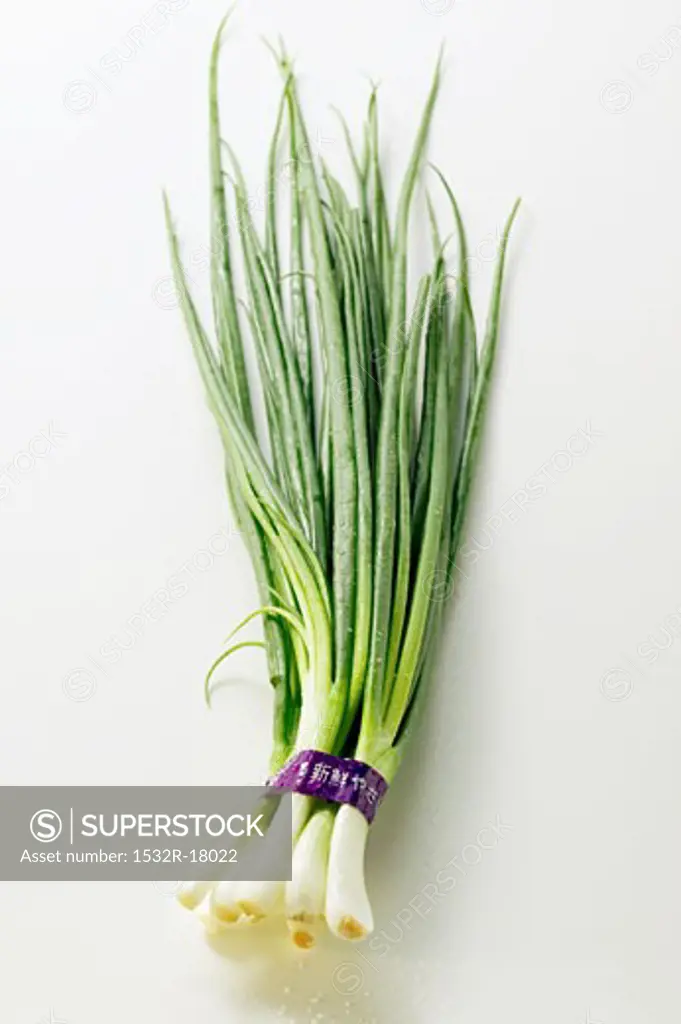Bunch of Asian spring onions