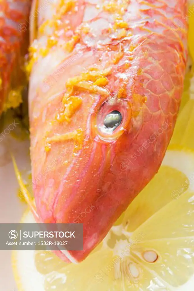 Red mullet with lemon sauce (close-up)