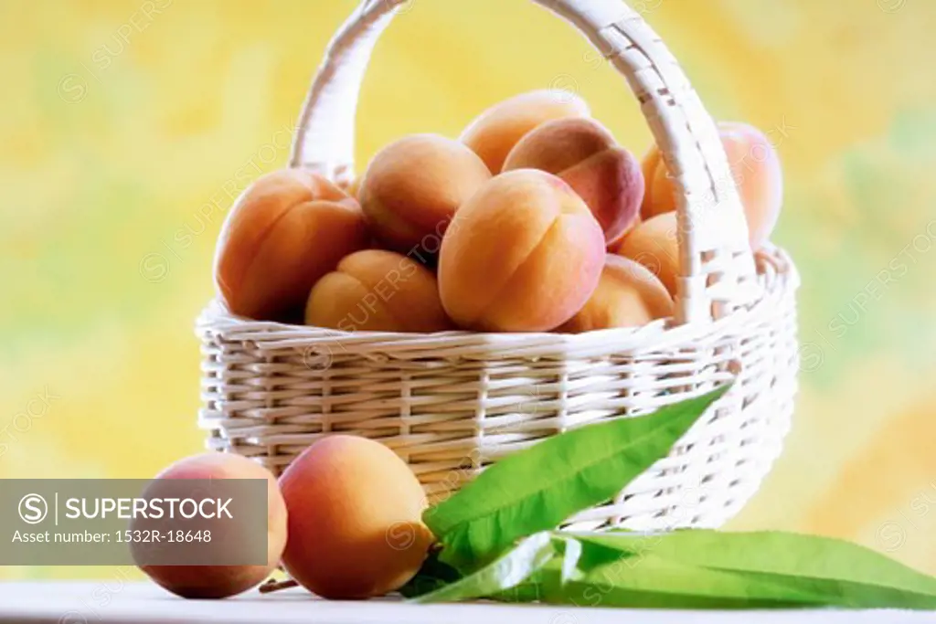 Apricots in a basket