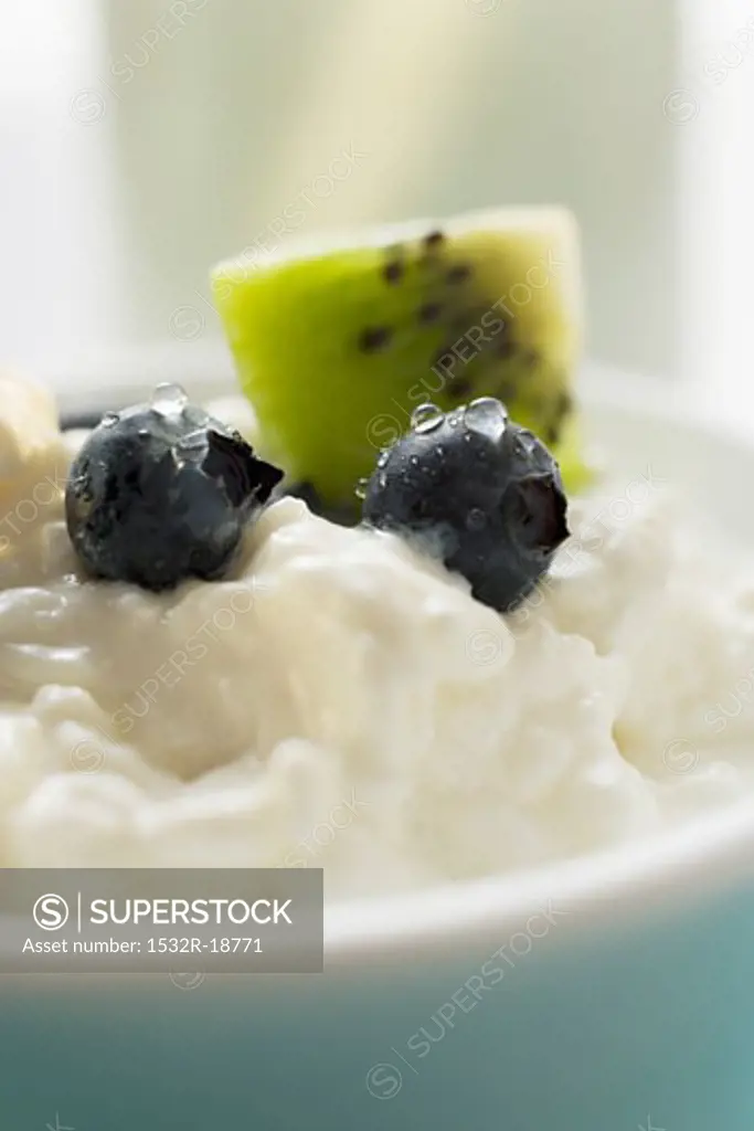 Cottage cheese with blueberries & kiwi fruit in a small bowl (1