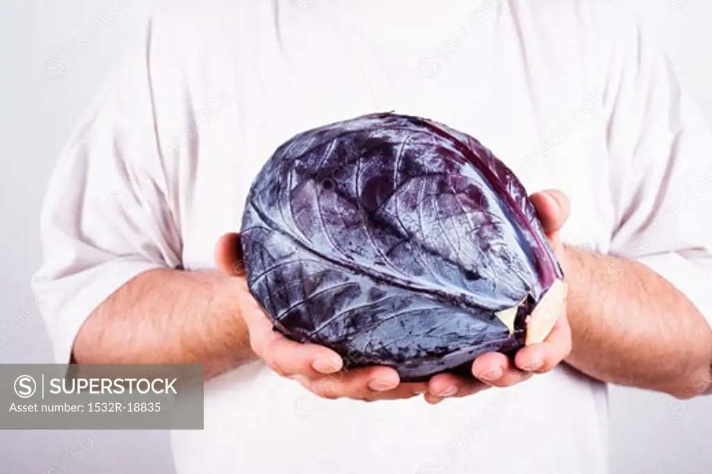 Man holding a red cabbage in both hands