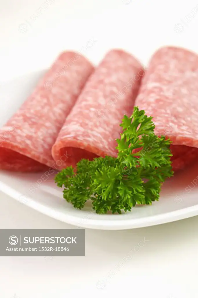 Three slices of salami with parsley on plate (1)
