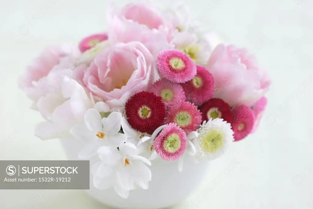 Bellis, tulips and narcissi in a bowl