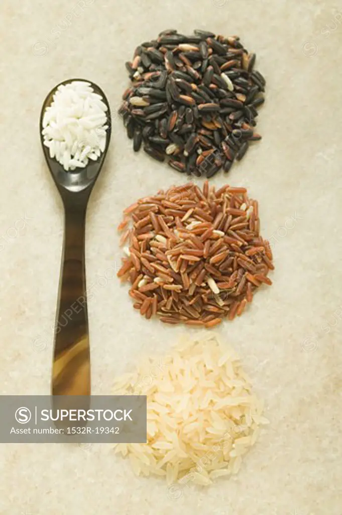 Four different types of rice