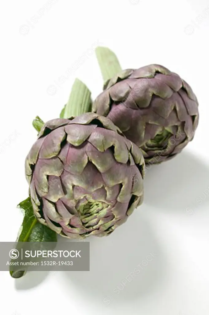 Two artichokes from the front