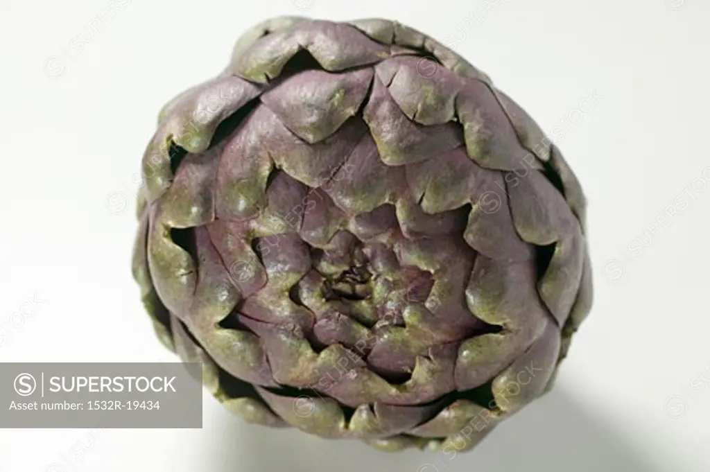 An artichoke from the front