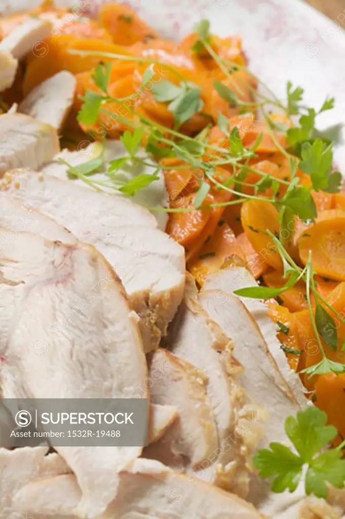 Turkey breast with carrots and parsley, close-up