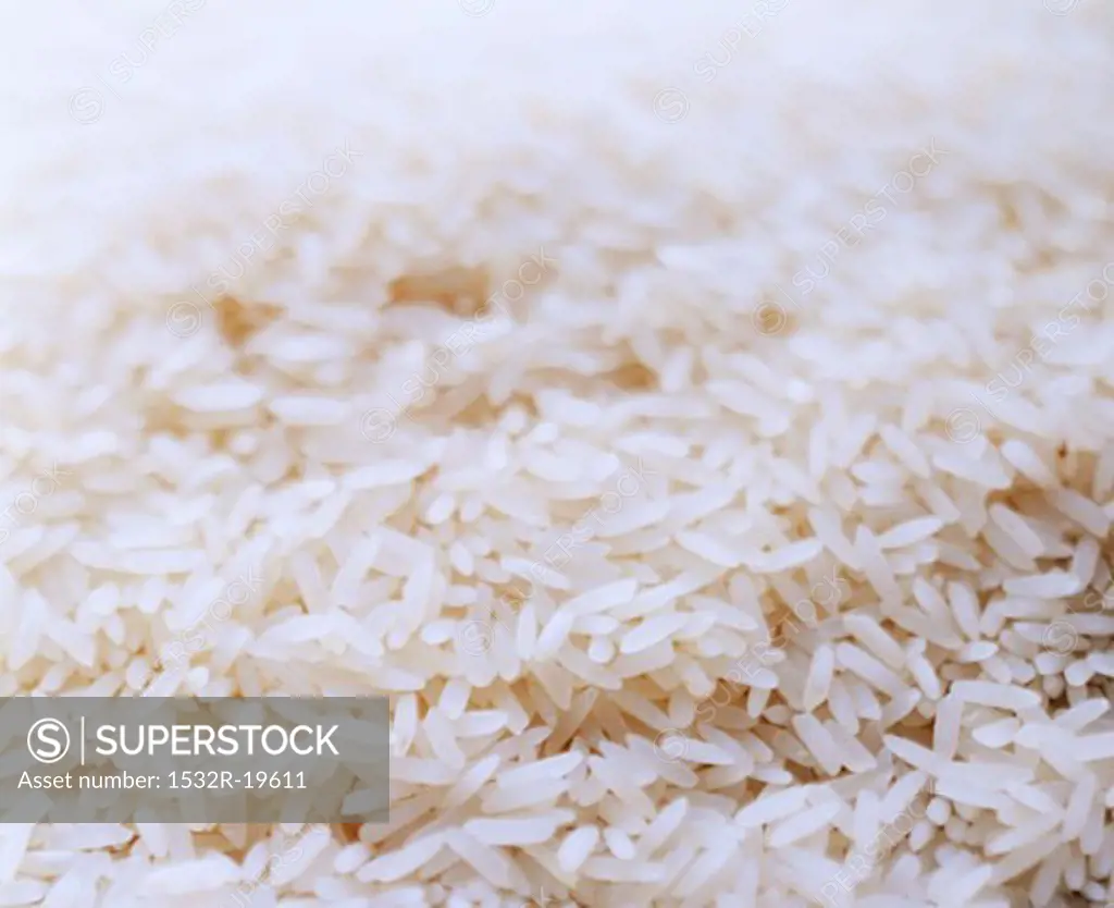 Uncooked Long Grain White Rice