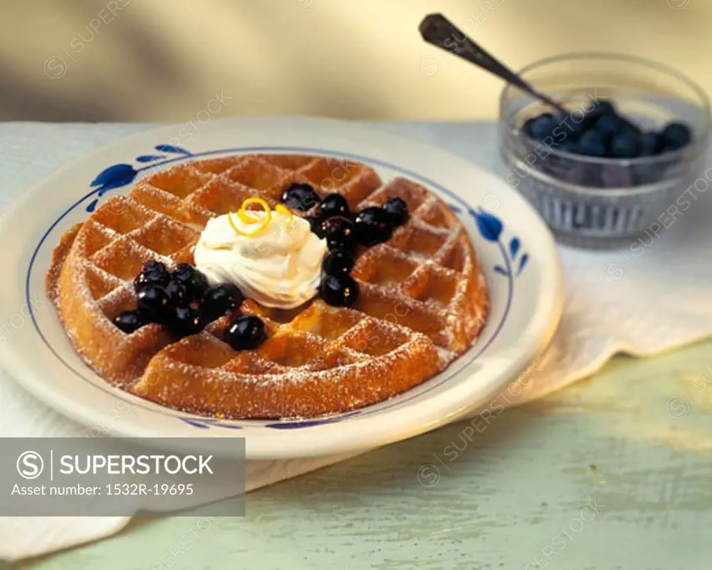 Blueberry Belgian Waffle with Whipped Cream