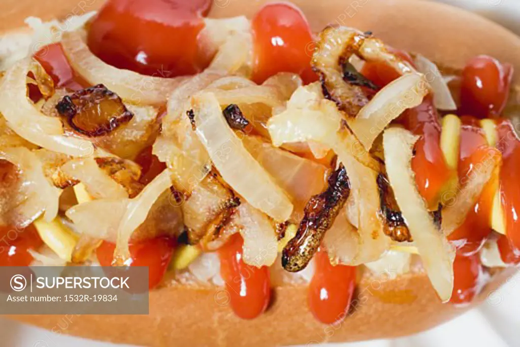 Hot dog with onions and ketchup