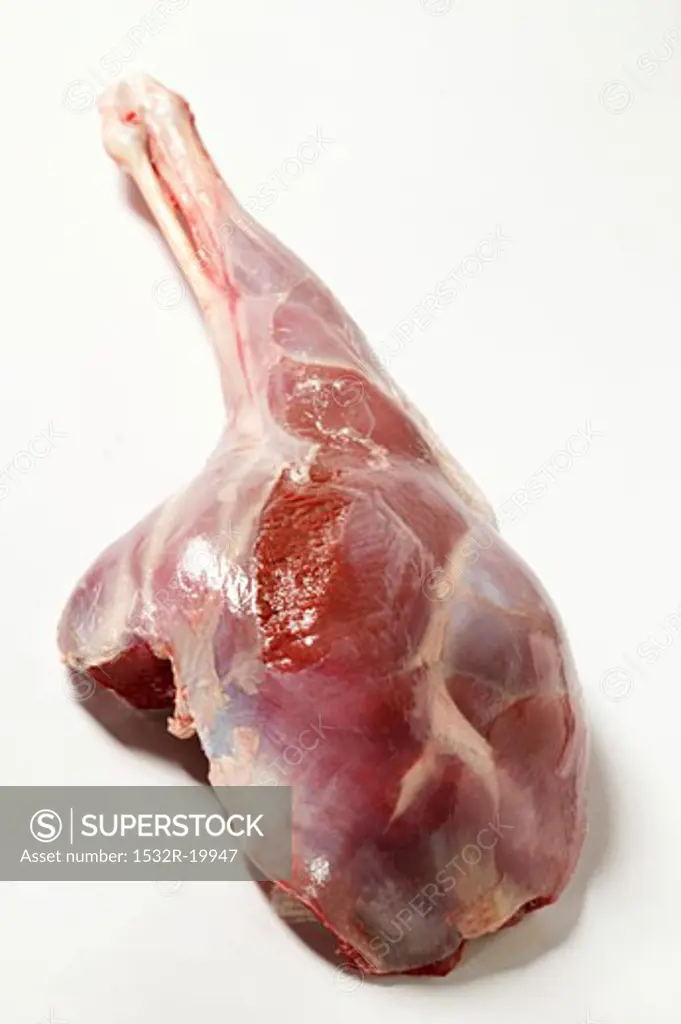 Raw leg of venison