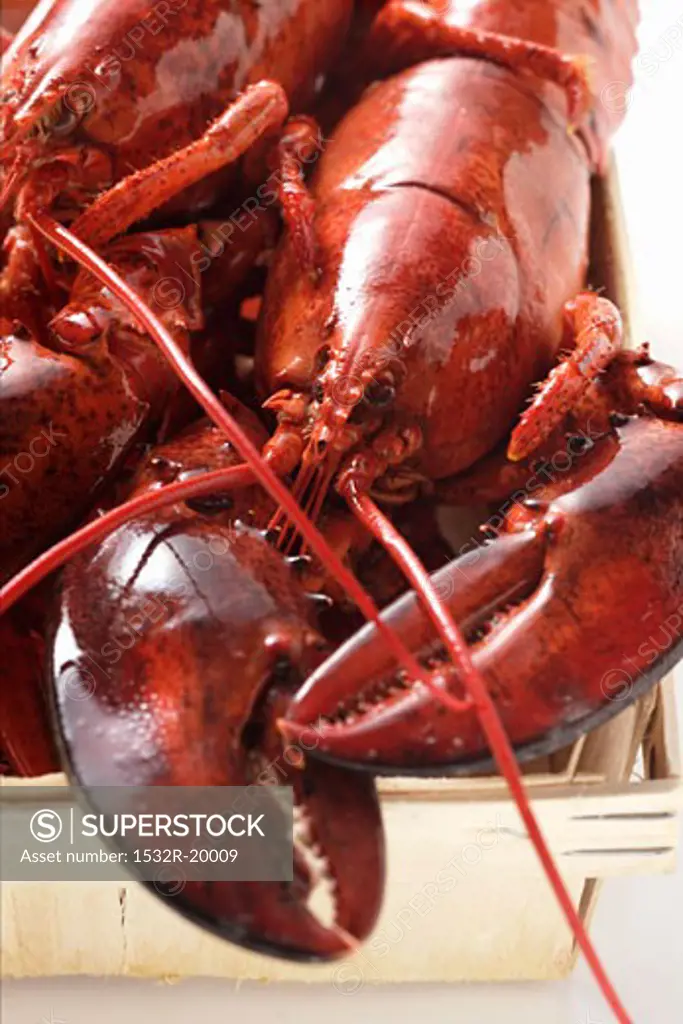 Lobster in woodchip basket