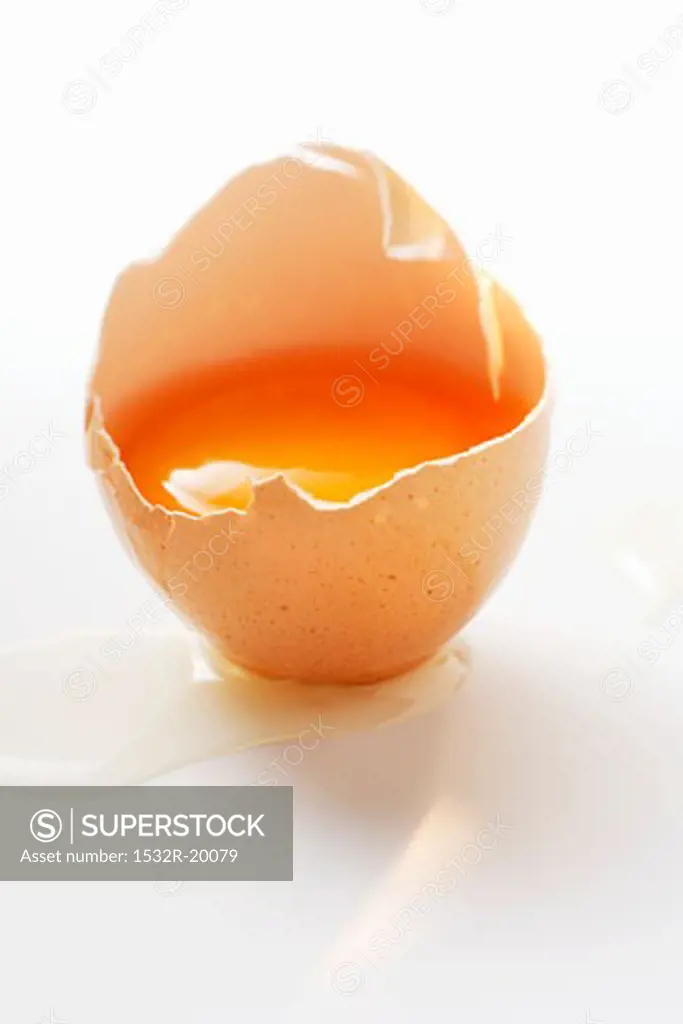 An egg, broken open