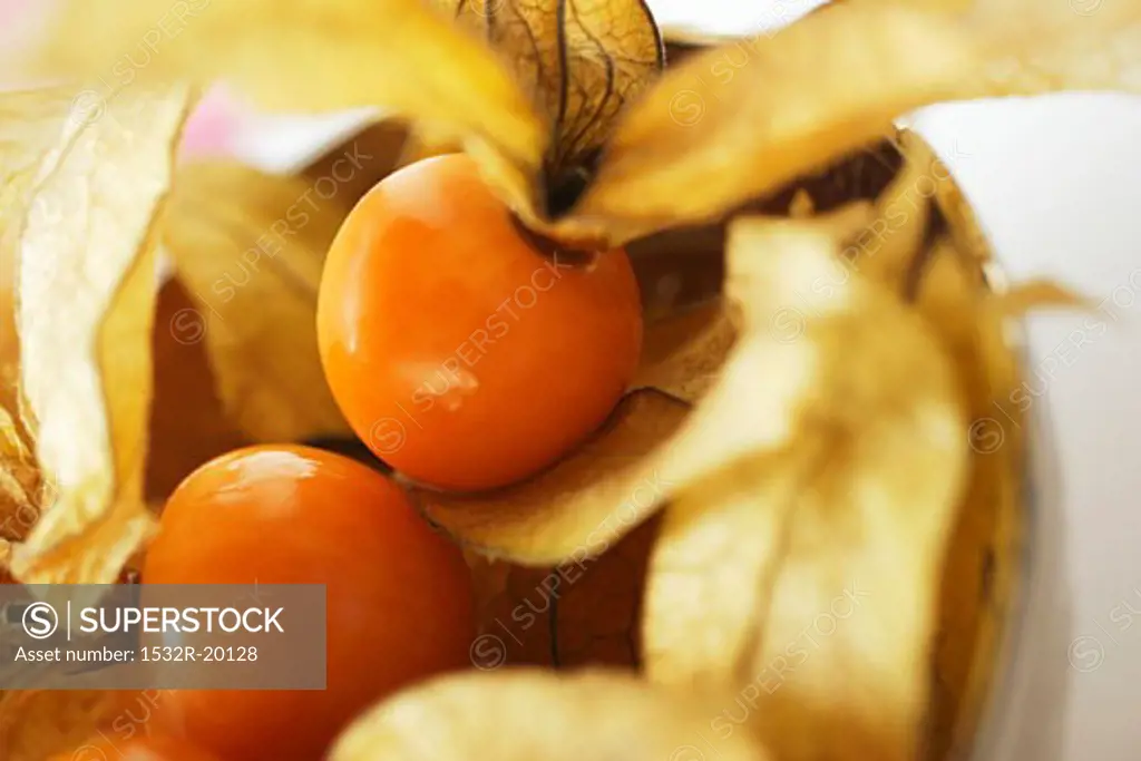 Physalis with calyxes in a bowl