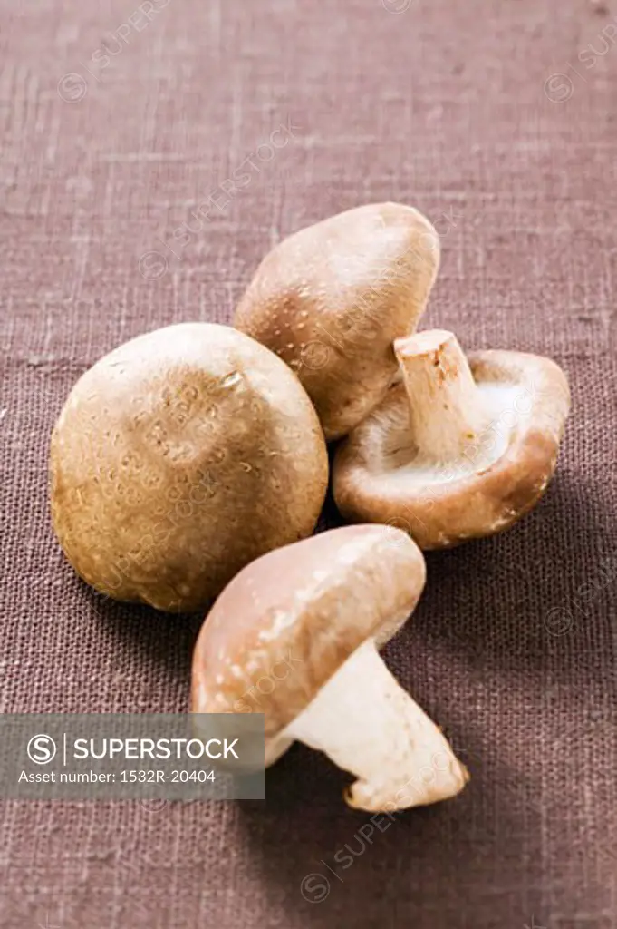 Four shiitake mushrooms