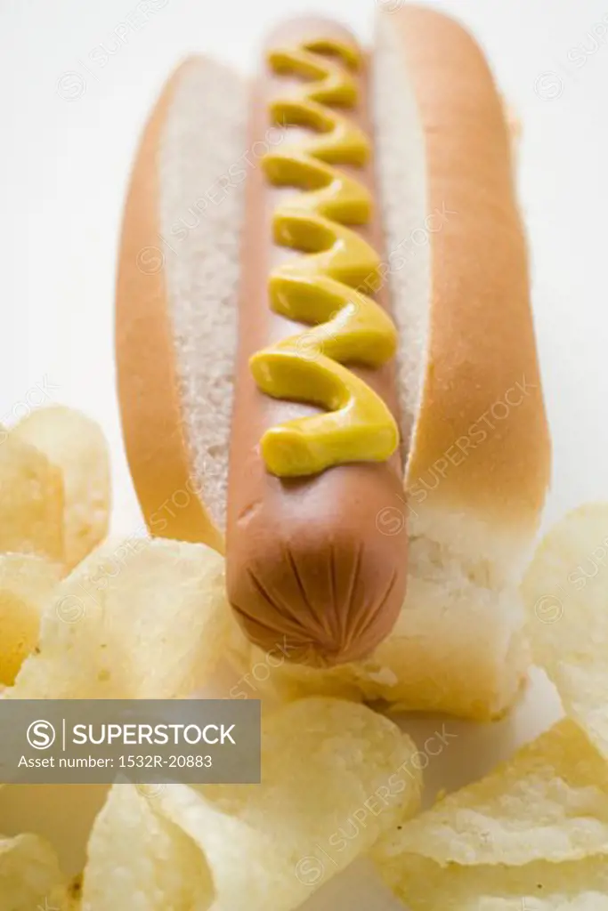 Hot dog with mustard and potato crisps