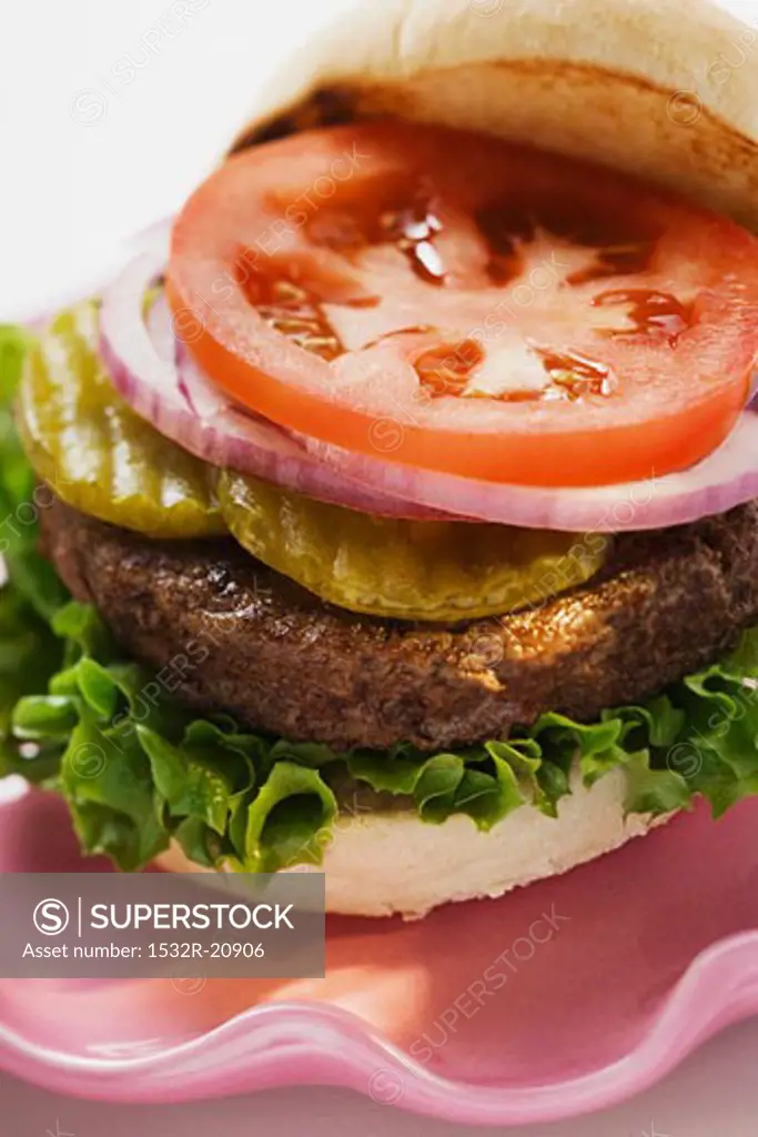 Home-made hamburger with gherkins, onions, tomato
