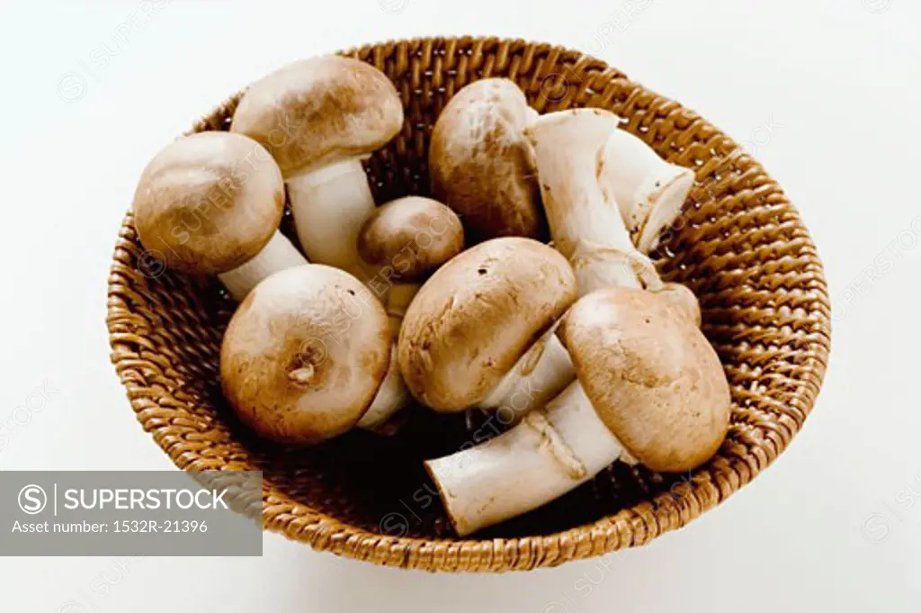 Fresh shiitake mushrooms in basket