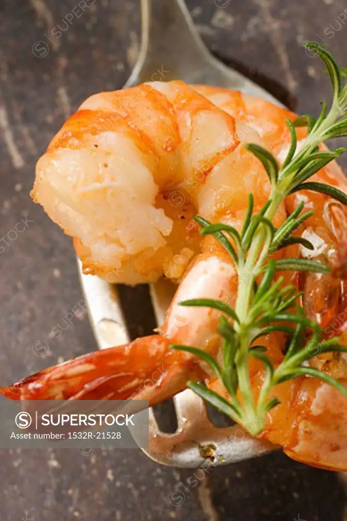 Fried shrimps with rosemary on spatula
