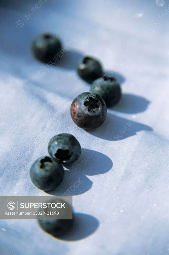 Many Fresh Blueberries