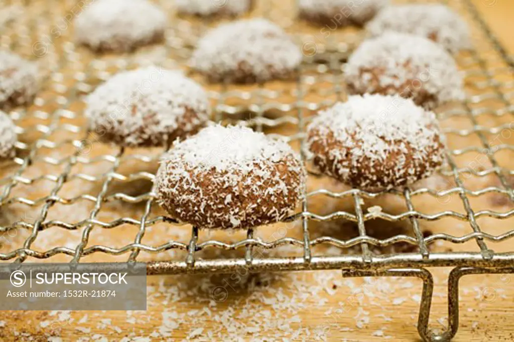 Hazelnut biscuits with grated coconut on cake rack