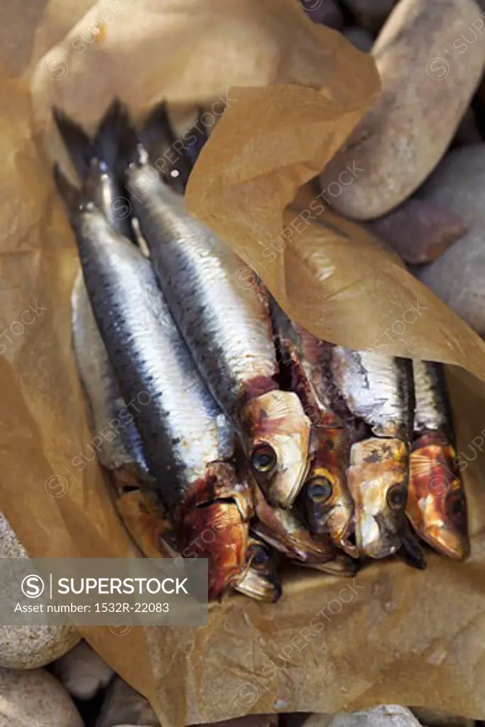 Smoked sardines on baking parchment