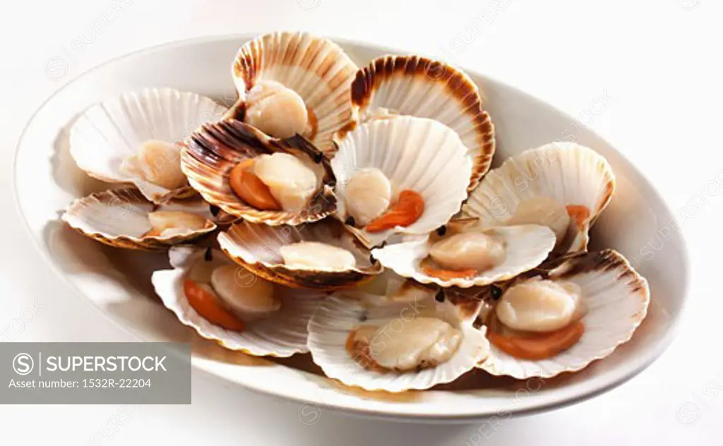 Opened scallops on a platter