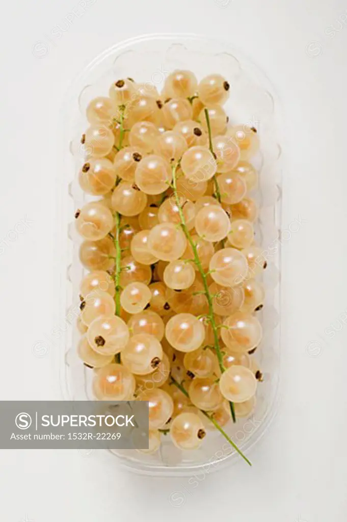 White currants in a plastic punnet