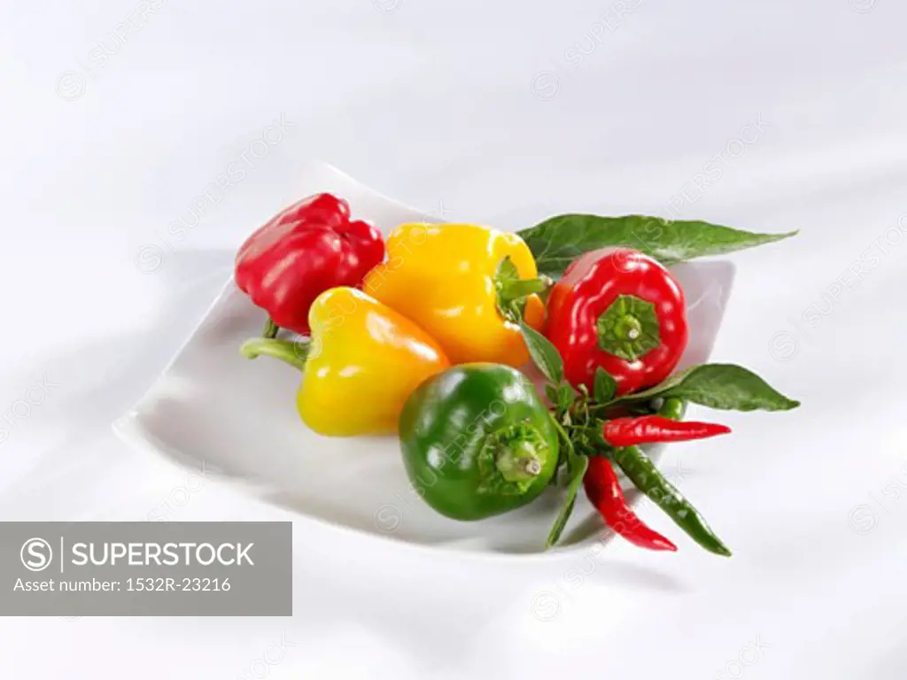Peppers and chillies in a white dish