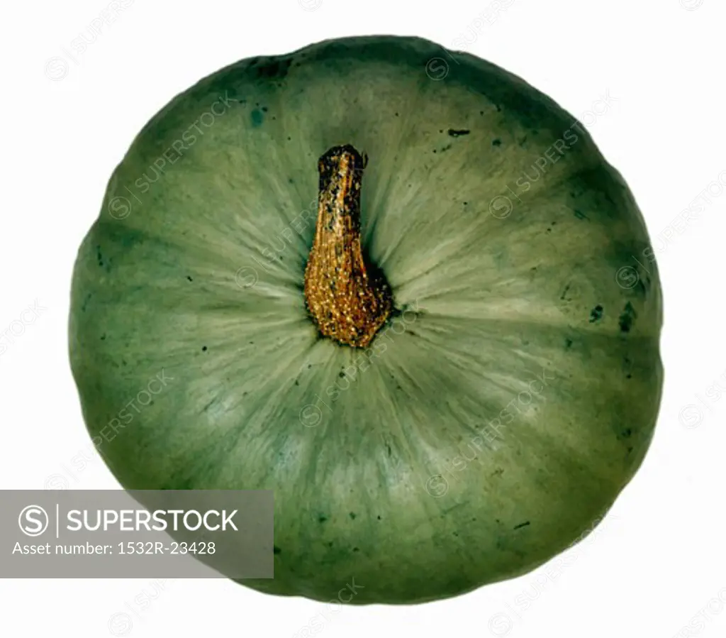 A pumpkin, variety 'Crown prince'