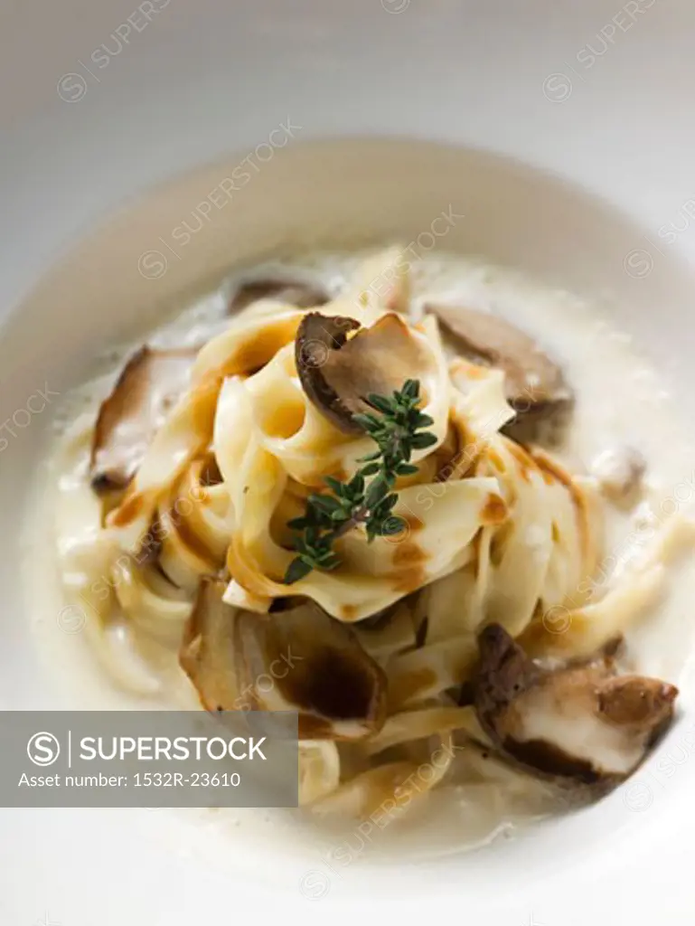 Ribbon pasta with ceps and cream sauce