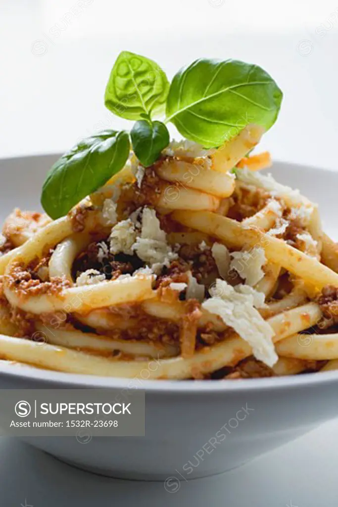 Macaroni with mince sauce and cheese