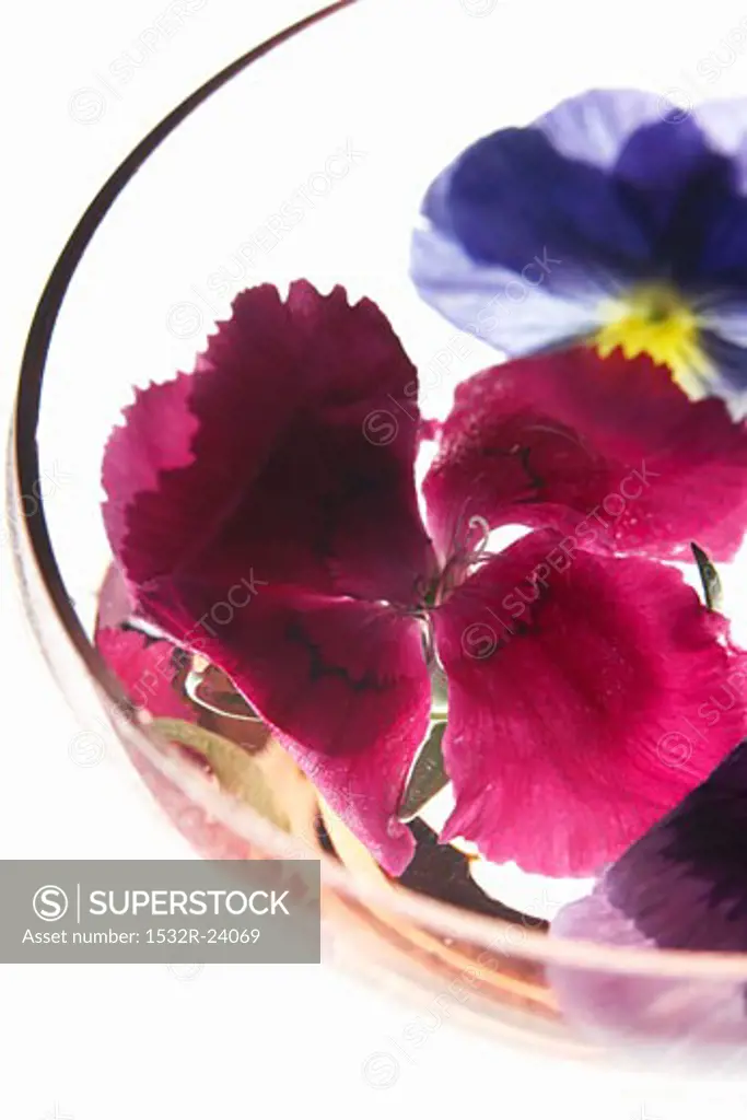 Pinks and pansies in a glass bowl of water
