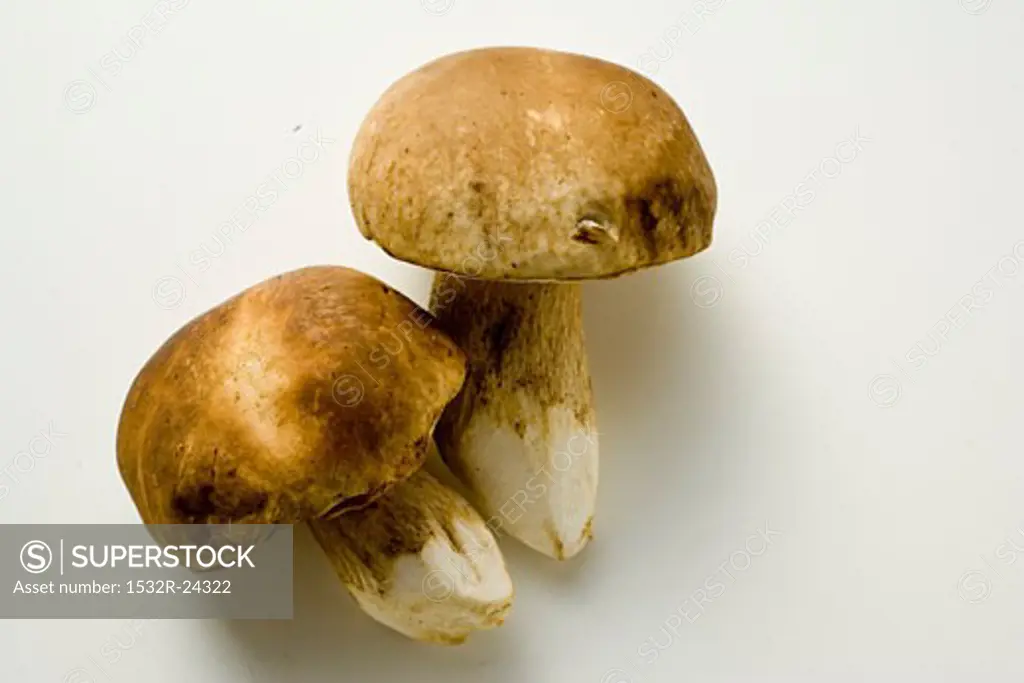 Two ceps
