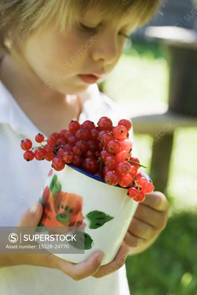Child holding cup of redcurrants