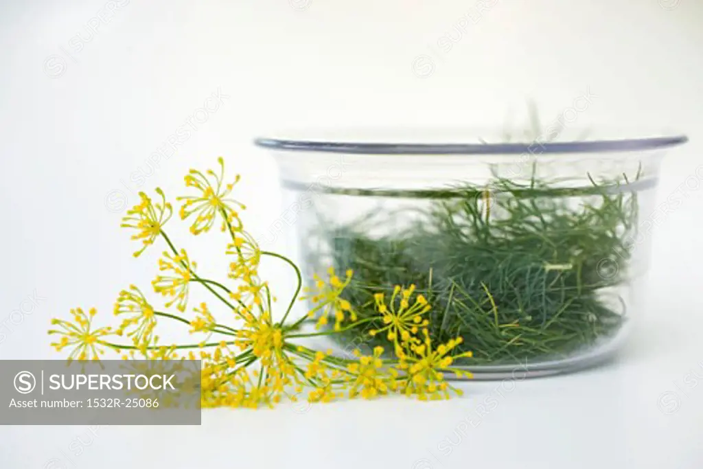 Dill in glass bowl, dill flowers beside it