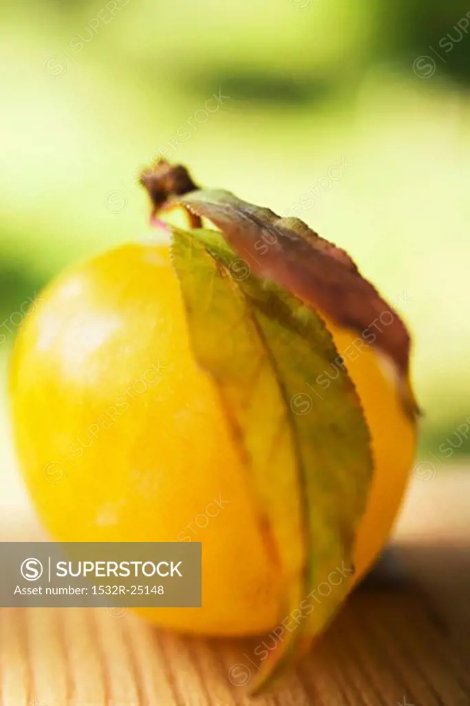 Yellow plum with leaves