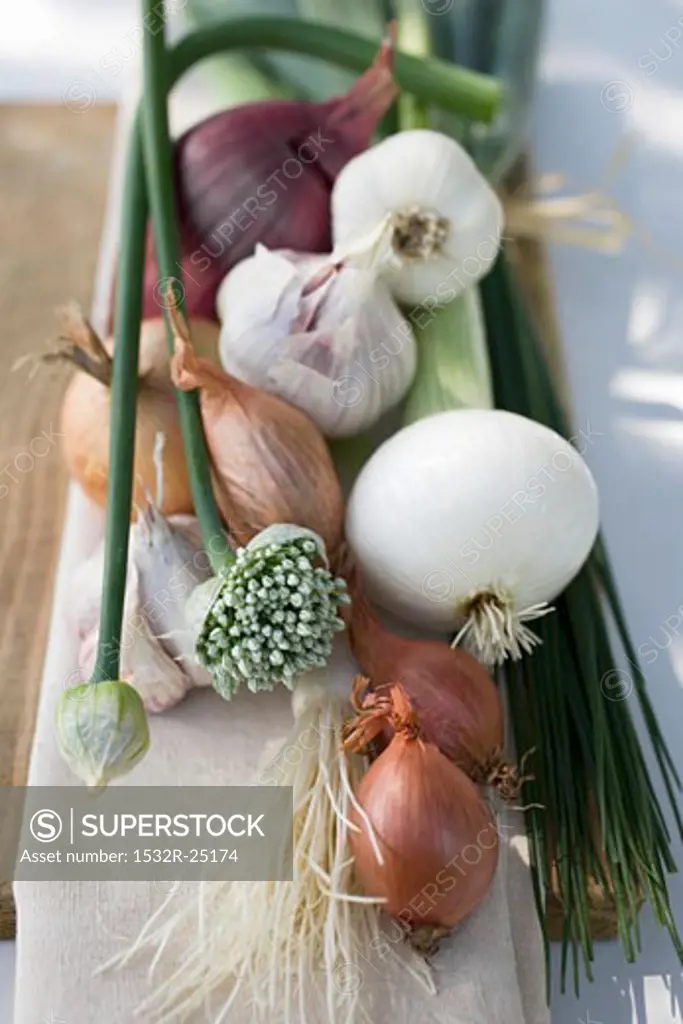 Onions, chives and garlic chives