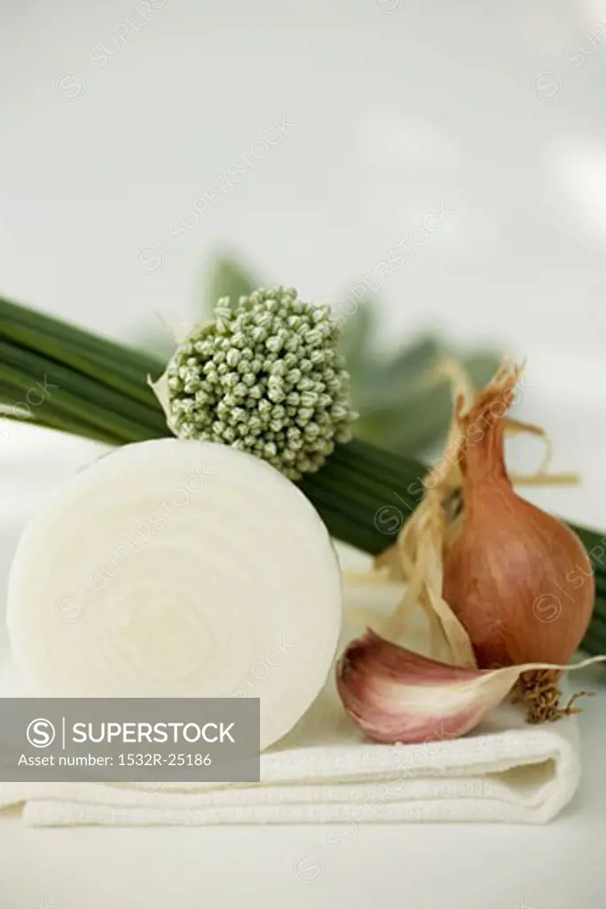 Onions, garlic, chives and garlic chives