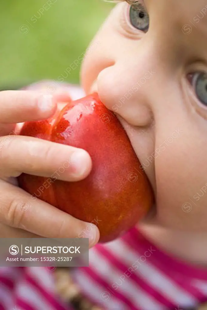 Child biting into juicy nectarine