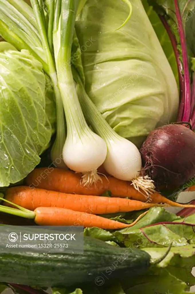 Carrots, spring onions, beetroot, cabbage and cucumber