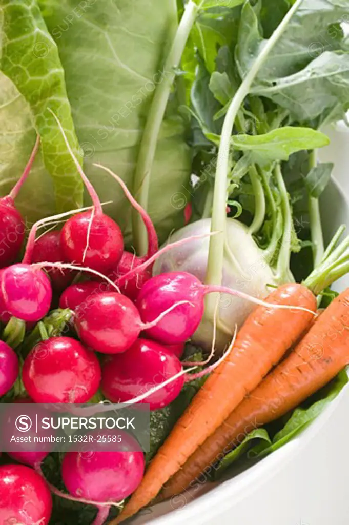 Radishes, pointed cabbage, kohlrabi and carrots in bowl