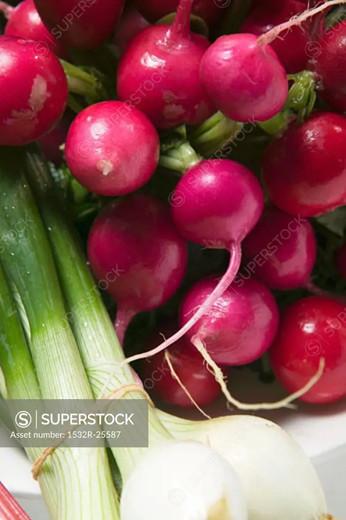 Spring onions and radishes in bowl (close-up)