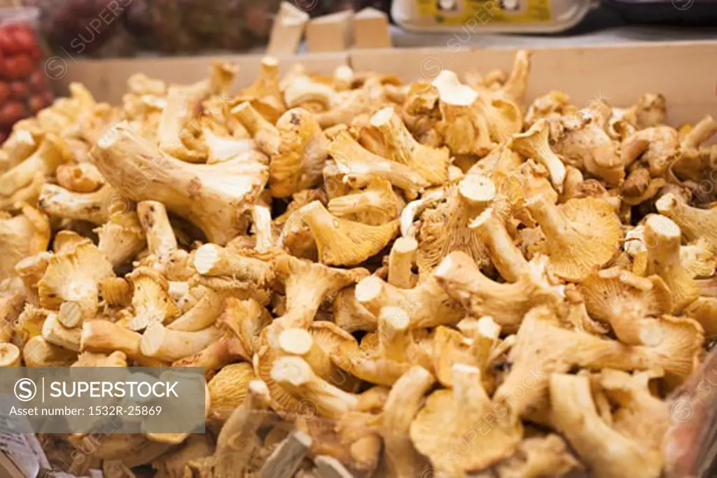 Fresh chanterelles in a crate at a market