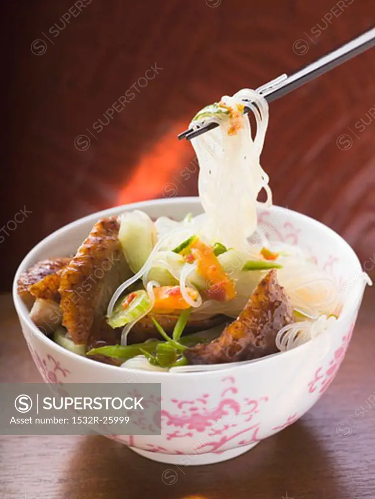 Glass noodles with roast duck breast and vegetables (Asia)