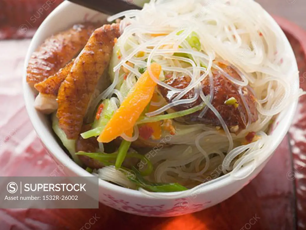 Glass noodles with roast duck breast and vegetables (Asia)